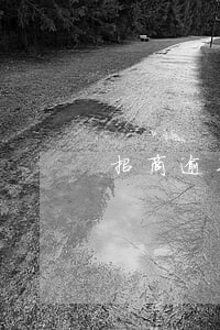 招商逾期怎么還款