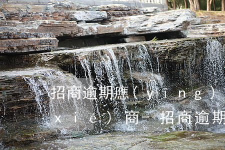 招商逾期應(yīng)該打什么電話協(xié)商-招商逾期應(yīng)該打什么電話協(xié)商還款