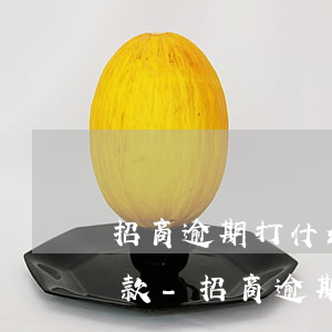 招商逾期打什么電話協(xié)商分期還款-招商逾期打什么電話協(xié)商分期還款最好
