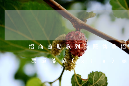 招商逾期收到法院傳票(招商逾期收到法院傳票,還能協(xié)商嗎)