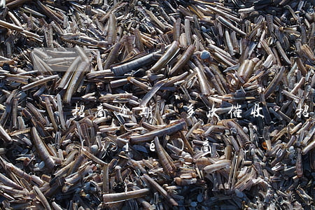 招商逾期會多次催收嗎 招商逾期催收主動協(xié)商