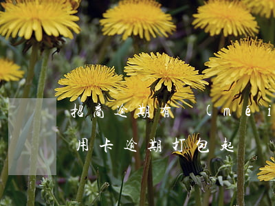 招商逾期有沒(méi)有被起訴的（招商信用卡逾期打包起訴）
