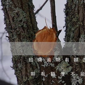 招商逾期有額度不能用了怎么回事-招商逾期有額度不能用了怎么回事兒