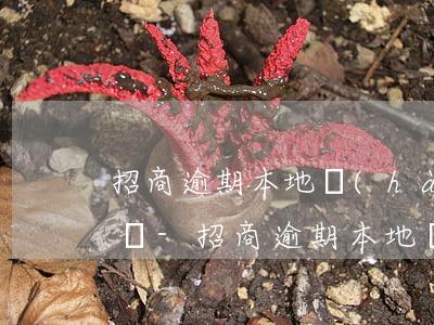 招商逾期本地號(hào)碼打電話說要上門-招商逾期本地號(hào)碼打電話說要上門是真的嗎
