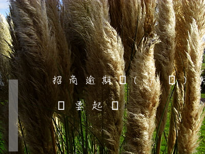 招商逾期發(fā)短信起訴 招商貸款逾期說要起訴