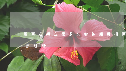 招商逾期立案多久会被起诉(招商逾期多少会被起诉)