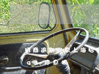 招商逾期罰息上海(招商逾期能申請(qǐng)停息嘛)