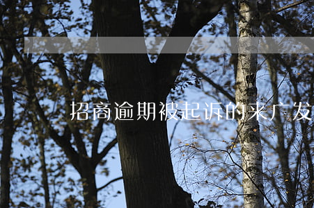 招商逾期被起诉的来（广发逾期多久起诉招商）