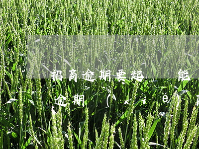 招商逾期要起訴還能協(xié)商嗎(招商逾期協(xié)商打哪個(gè)電話)