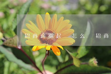 招商逾期起訴怎么辦(招商逾期處理流程)