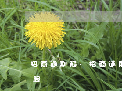 招商逾期超-招商逾期超15萬(wàn)起訴