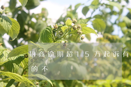 招商逾期超15万起诉(有招商欠5万被起诉的不)