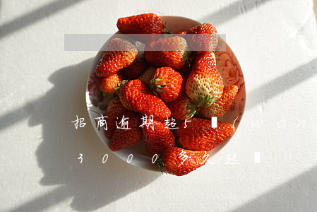 招商逾期超5萬(wàn)起訴（招商逾期33000多久起訴）