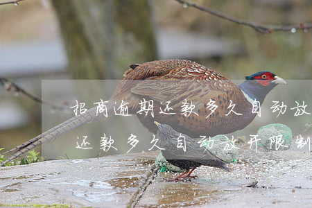 招商逾期还款多久自动放开限制-招商逾期还款多久自动放开限制额度