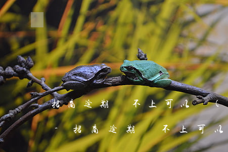招商逾期還不上可以協(xié)商分期嗎-招商逾期還不上可以協(xié)商分期嗎怎么辦