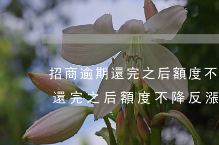 招商逾期還完之后額度不降反漲-招商逾期還完之后額度不降反漲怎么辦