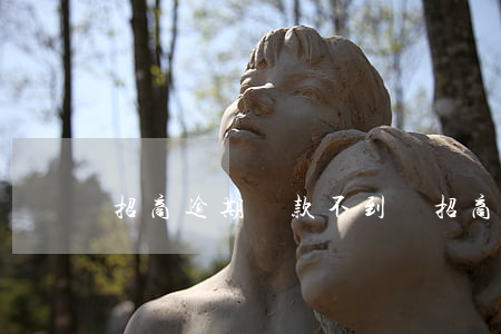 招商逾期還款不到賬(招商逾期半個月了會怎樣)