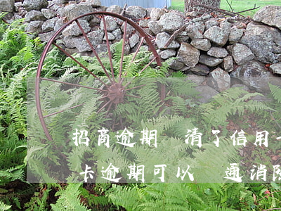 招商逾期還清了信用卡會不會解凍（招商信用卡逾期可以溝通消除嗎）