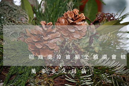 招商還掉逾期金額還會被起訴嗎 招商逾期兩萬多多久起訴
