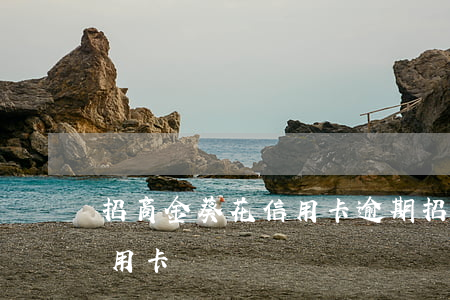 招商金葵花信用卡逾期(招商銀行金葵花辦信用卡)