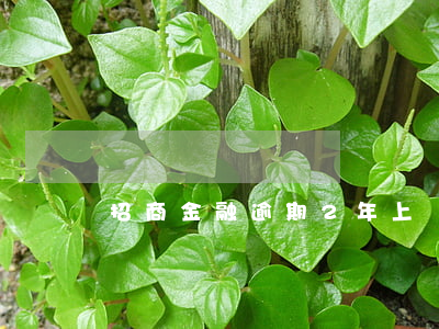 招商金融逾期2年上門（招商逾期上門后）