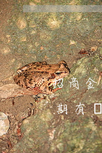 招商金融逾期多久會(huì)起訴(招商逾期有沒有被起訴的)