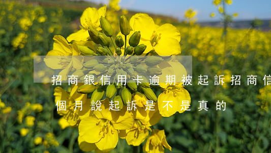 招商銀信用卡逾期被起訴(招商信用卡逾期3個月說起訴,是不是真的)