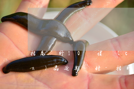 招商銀行10億理財(cái)產(chǎn)品逾期兌付-招行十億理財(cái)最后兌付了嗎