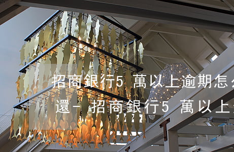 招商銀行5萬以上逾期怎么協(xié)商還-招商銀行5萬以上逾期怎么協(xié)商還本金