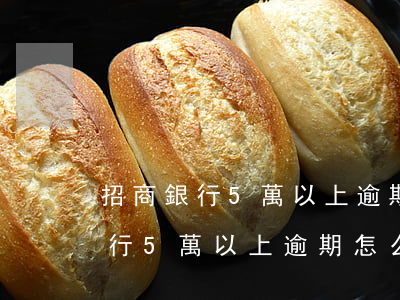 招商銀行5萬以上逾期怎么協商還-招商銀行5萬以上逾期怎么協商還本金