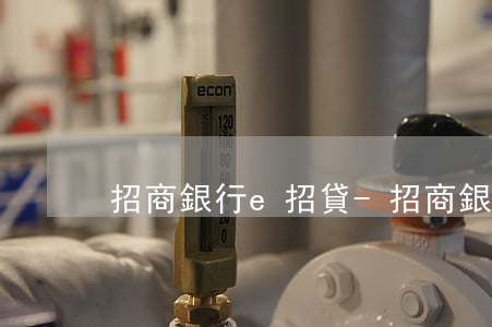 招商銀行e招貸-招商銀行e招貸電話