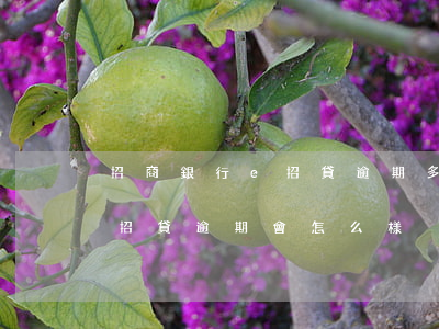 招商銀行e招貸逾期多久會被封卡-招商e招貸逾期會怎么樣