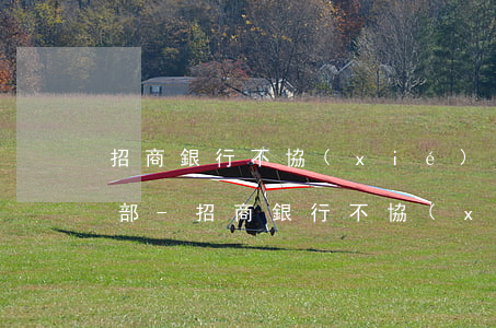 招商銀行不協(xié)商到法務(wù)部-招商銀行不協(xié)商到法務(wù)部可以嗎