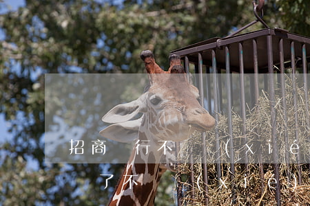 招商銀行不給協(xié)商-招商銀行起訴了不給協(xié)商