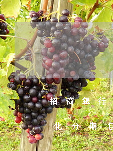 招商銀行不給協(xié)商個(gè)性化分期怎么辦-招商銀行不給協(xié)商個(gè)性化分期怎么辦呢
