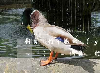 招商銀行不能做個(gè)性化分期服務(wù)嗎-招商銀行不能做個(gè)性化分期服務(wù)嗎為什么