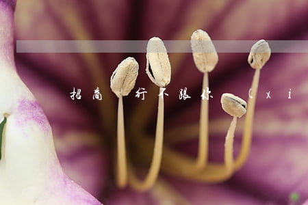 招商銀行不跟你協(xié)商還款了怎么辦