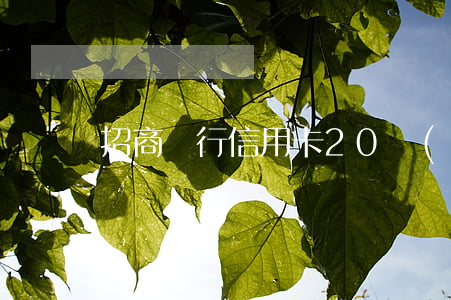 招商銀行信用卡20萬(wàn)逾期