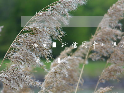 招商銀行信用卡4年不還(招商銀行信用卡4年不還)