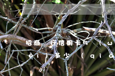 招商銀行信用卡5萬(wàn)逾期費(fèi)多少錢(qián)-招商銀行信用卡5萬(wàn)逾期費(fèi)多少錢(qián)啊