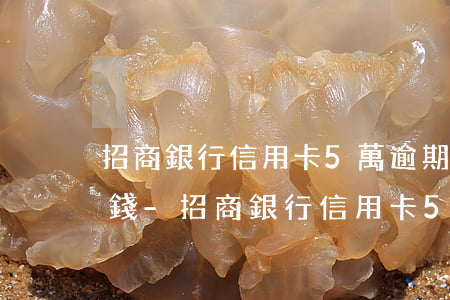 招商銀行信用卡5萬逾期費(fèi)多少錢-招商銀行信用卡5萬逾期費(fèi)多少錢啊
