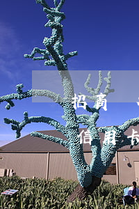招商銀行信用卡70000逾期-招商銀行信用卡70000逾期怎么辦