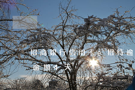招商銀行信用卡e招待逾期(招商銀行信用卡逾期4天)