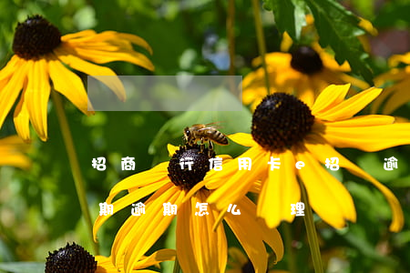 招商銀行信用卡e招貸逾期（招行信用卡e分期逾期怎么辦理）