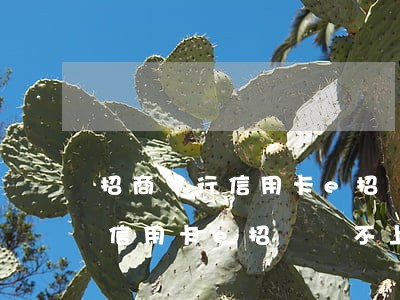 招商銀行信用卡e招貸還款失敗-招商銀行信用卡e招貸還不上怎么辦