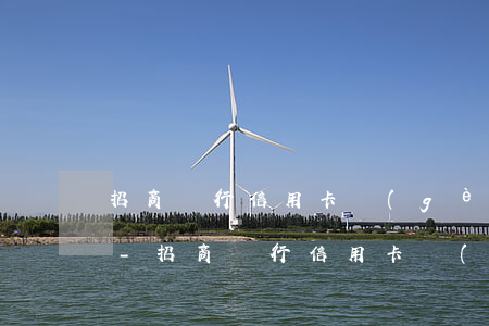 招商銀行信用卡個(gè)性化分期60期-招商銀行信用卡個(gè)性化分期60期什么意思