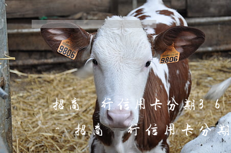 招商銀行信用卡分期36期手續(xù)費-招商銀行信用卡分期36期手續(xù)費多少