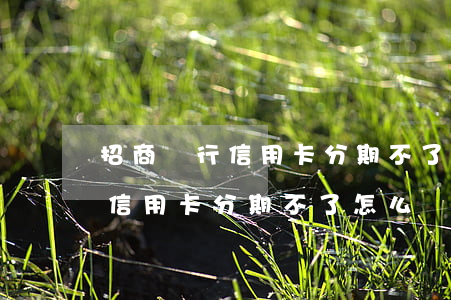 招商銀行信用卡分期不了怎么辦-招商銀行信用卡分期不了怎么辦呢
