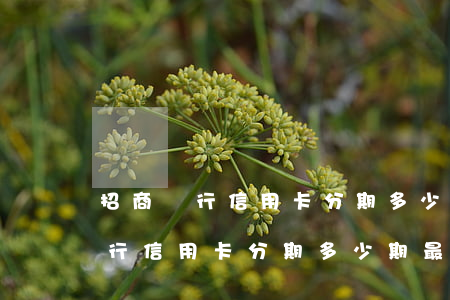 招商銀行信用卡分期多少期最劃算-招商銀行信用卡分期多少期最劃算的