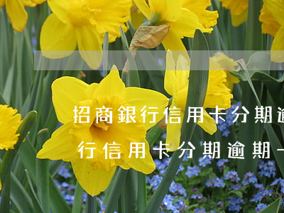 招商銀行信用卡分期逾期一天怎么辦（招商銀行信用卡分期逾期一天）